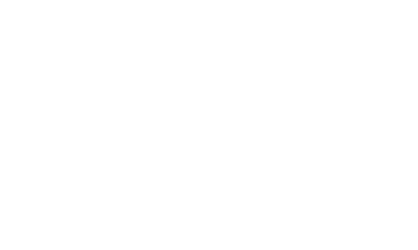 Litigium Firm